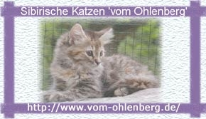 Sibirische Katzen “Vom Ohlenberg“