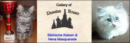 Cattery of Russian House - Sibirische Katzen & Neva Masquarade