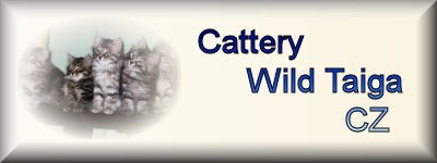 Cattery Wild Taiga CZ